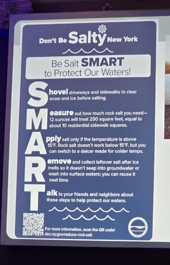 NYS DEC Don't be Salty poster